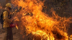 Schwere Waldbrände in Brasilien