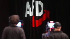 Ein Rätsel namens AfD