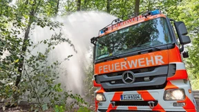 Feuer im Frankfurter Stadtwald