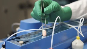 Was Sie über das neue Corona-Medikament wissen müssen