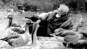 Wie verhielt sich der Verhaltensforscher?