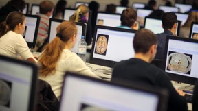 Im Internet zum Bachelor