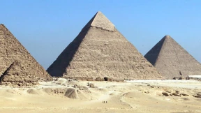 Elon Musks Tweet und seine Folgen