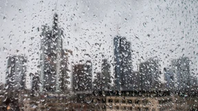 Negativzinsen wirken