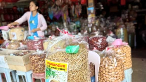 Singapur lässt 16 Insektenarten als Lebensmittel zu