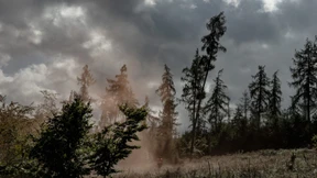 Im Wald gibt es keine Hydranten