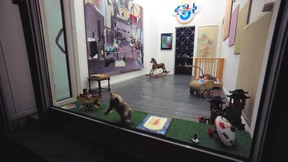 Puppen und Teddys in Sandip Shahs bewohnter Kunstinstallation