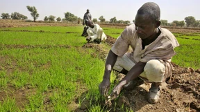 Von Eschborn aus gegen den Klimawandel