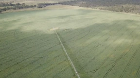 Eine Million Hektar neues Land