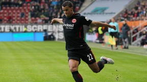 Gut fürs Binnenklima