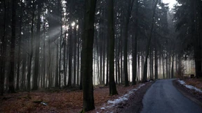 Grüne Wertanlage mit großem Erholungswert
