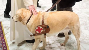 Franziskus segnet Blindenhund „Asia“