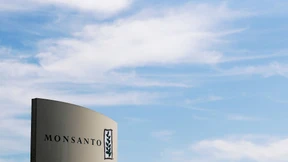 Klage gegen Zulassung von Gen-Sojabohne gescheitert