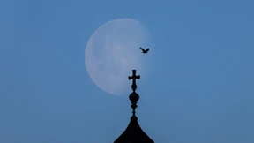 Theologen auf dem Holzweg