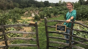 Neuer Garten dank Permakultur