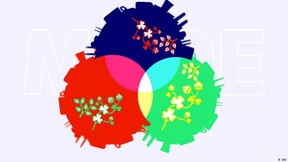 Die Geschichte der Farben