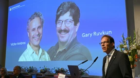 RNA-Forscher aus den USA mit Nobelpreis ausgezeichnet