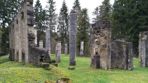 Die Kirche und der Krieg