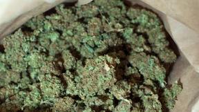 Marihuana-Lounge in Denver eröffnet