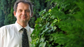 „Unser Wald ist ein schlafender Riese“