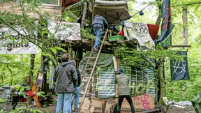 Utopia unter Baumwipfeln