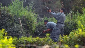 Mehrere Tote bei Angriff auf Kontrollposten