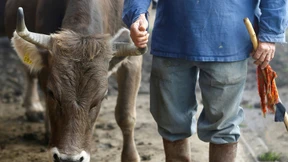 Schweizer scheitern bei Volksabstimmung