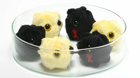 „Viren sind Software – und wir ihre Hardware“