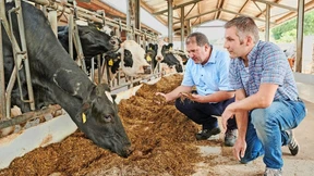 Ein Landwirt, 130 Kühe – und sehr viel Methan