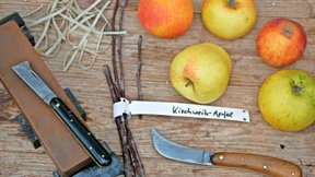 Neues Leben für alte Äpfel