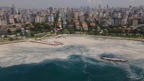 Gefährlicher Glibber