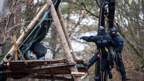 In der Tiefe des Waldes