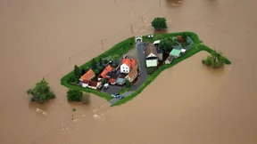 Aus Schaden nicht klug geworden 