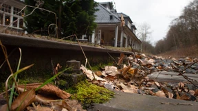 Nach vorne geprescht