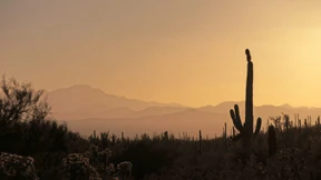 Die Perfektionierung Amerikas