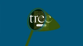 Das Rauschen der Wälder