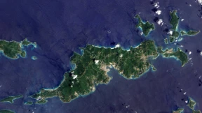 Atemlos durch alle Krisen gehechelt