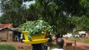 Ackern in der Metropole