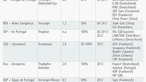 Privatisierungen in Vorbereitung