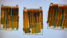 Spürhund findet Kokain im Wert von 5,7 Millionen Euro