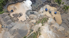 Wie Bäume die Orte von illegalem Goldabbau verraten