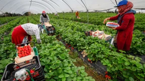 Spanien will illegale Bewässerung legalisieren