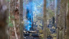 Keine offenen Feuer mehr erkennbar