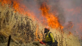 Waldbrand zerstört mehr als 100 Häuser