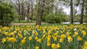 Was das Land in der Wetterau tun muss