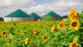 Länder-Wettlauf um die EEG-Förderung