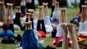 Der Bürger im liegenden Kaktus