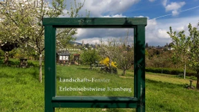 Stahlrahmen für Landschaft und Baum