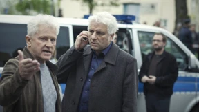 Die Wahrheit in den Schweinehälften