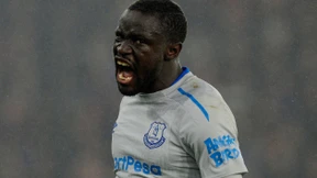 Lasst die Schwalben sterben